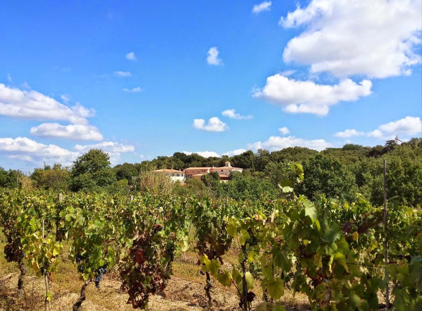 Pausania-Inn-General-view-40