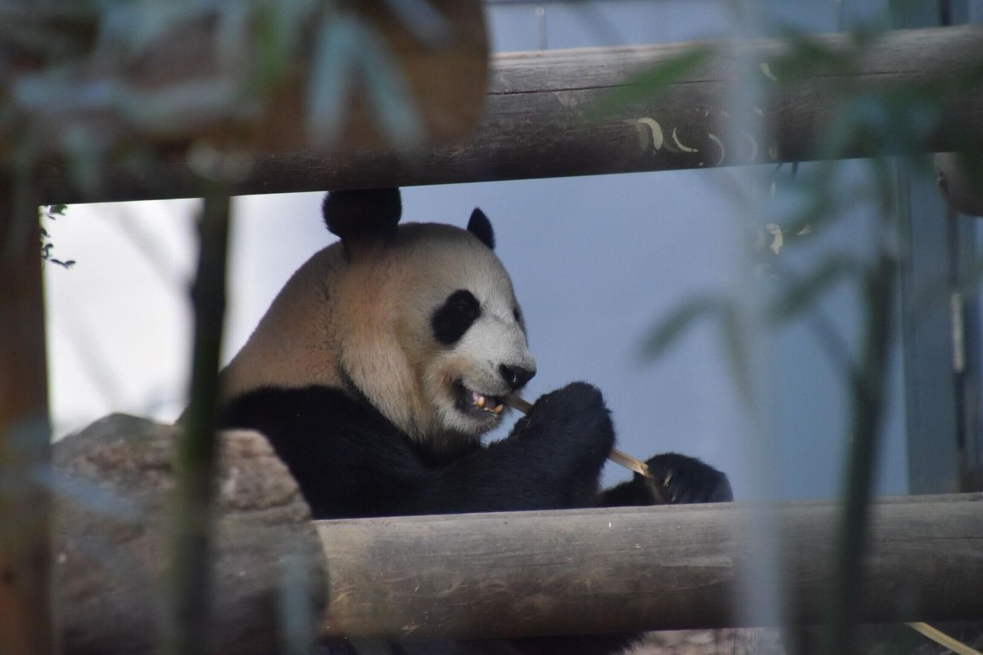 Dormy Inn Premium Tokyo Kodenmacho-Japan-Tokyo-General view-9