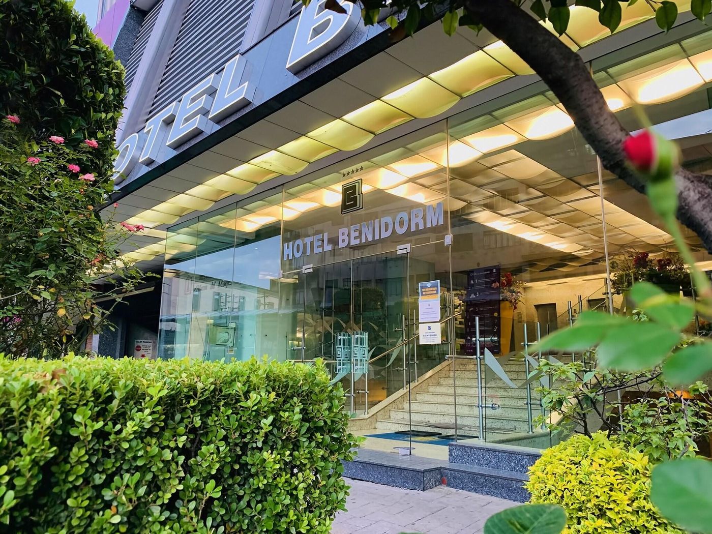 Benidorm-Mexico-MEXICO D.F.-General view-1