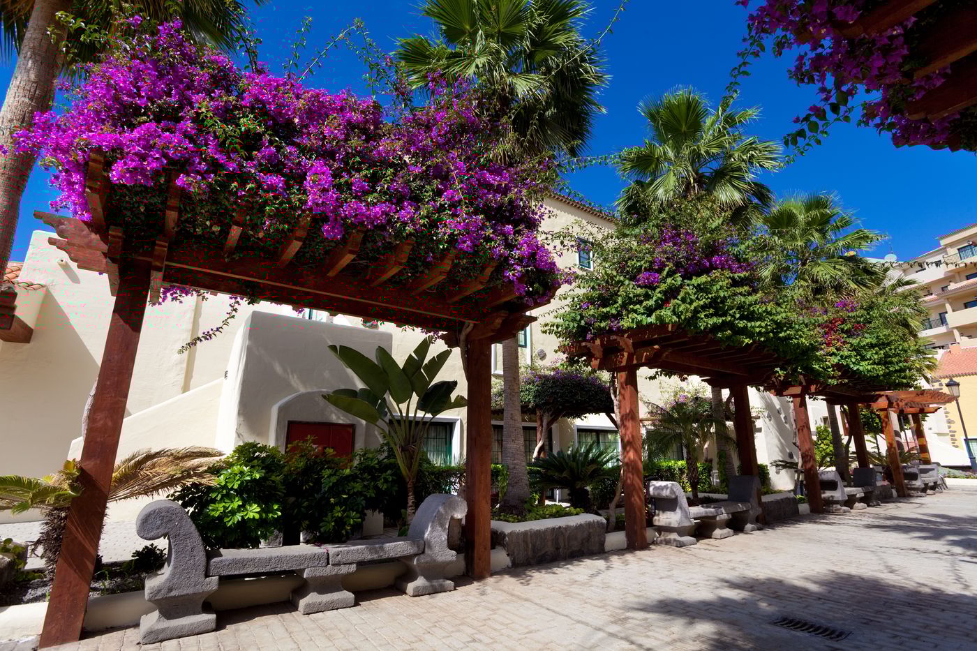 GF-Isabel-General-view-15