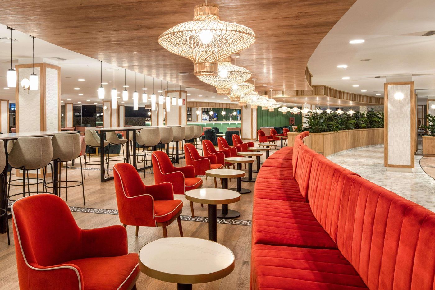 Tabaiba-Princess-Bar-55