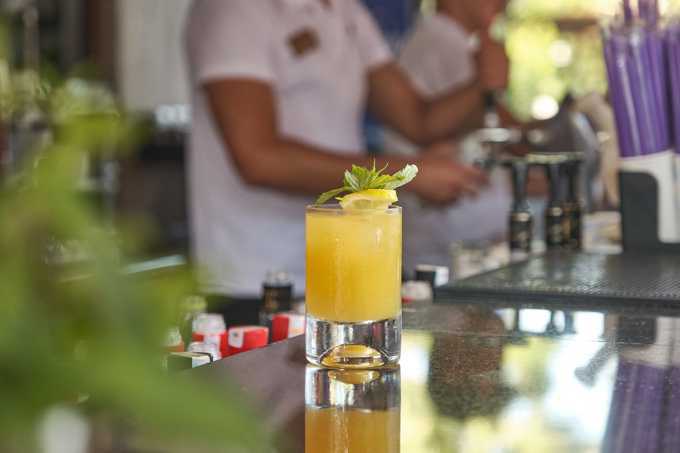 Seaden-Sea-Planet-Bar-30