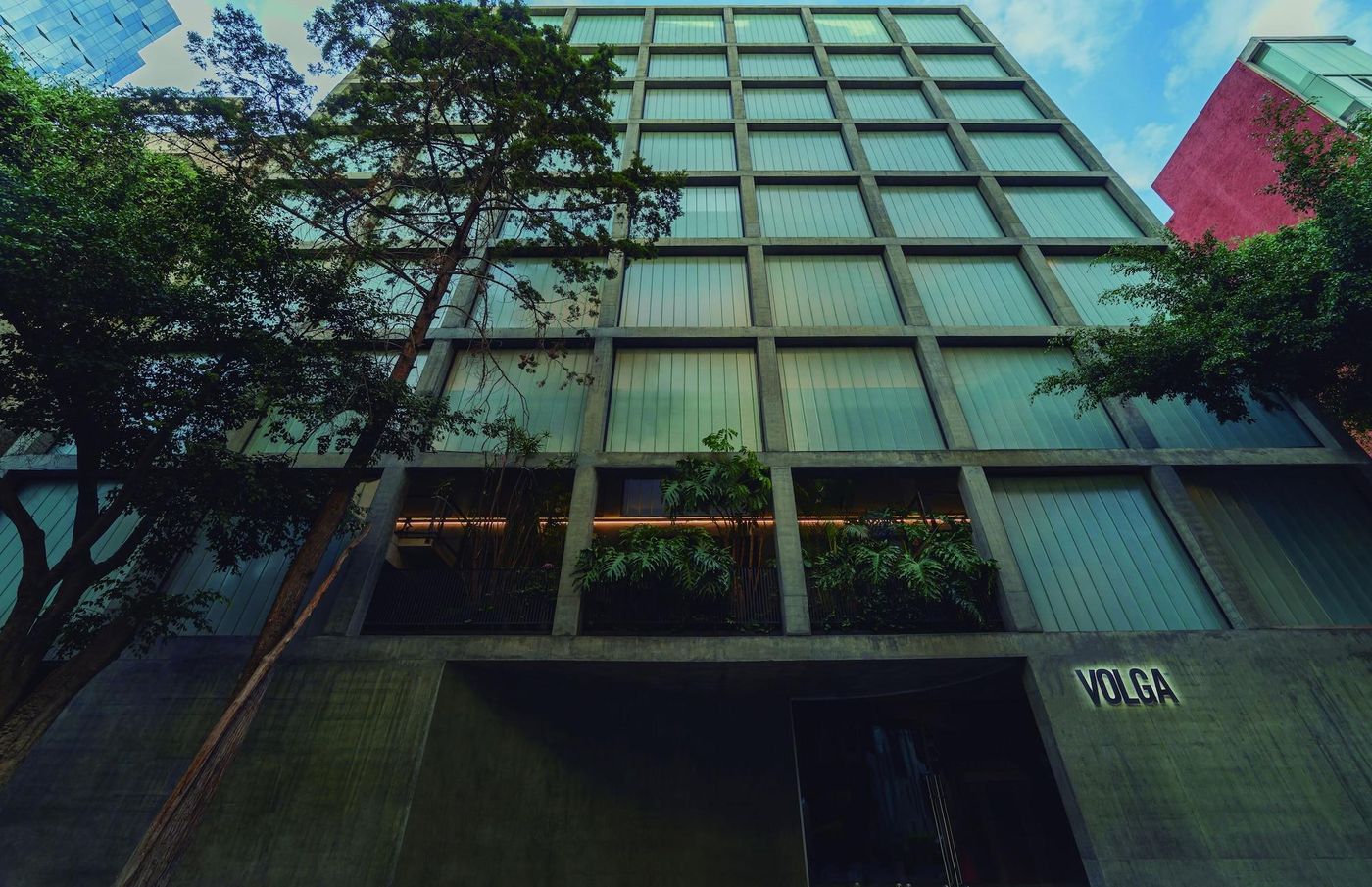 Hotel Volga-Mexico-Ciudad de México-General view-9