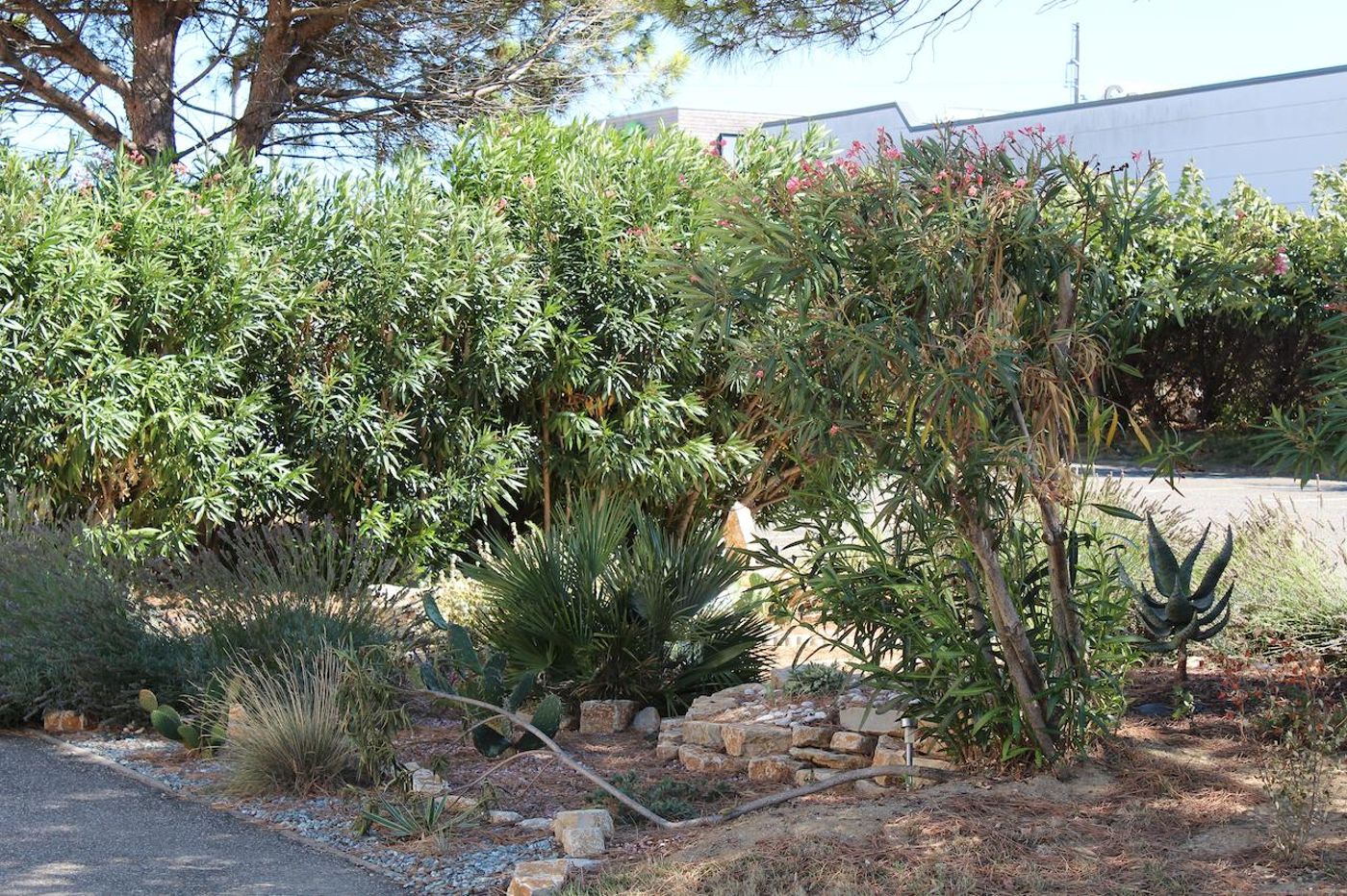 ibis Carcassonne Est La Cité-France-CARCASSONNE-General view-6