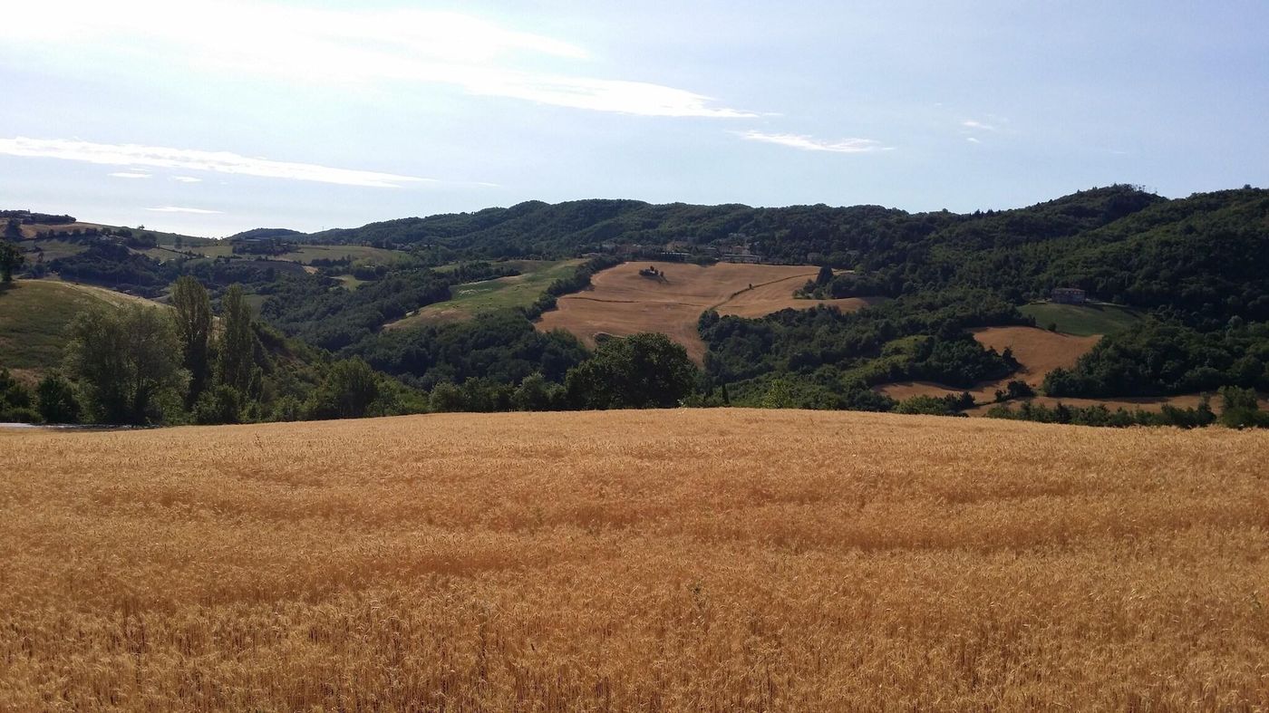 Albergo Sapori - Italy - TOLE BOLOGNA - General view - 5