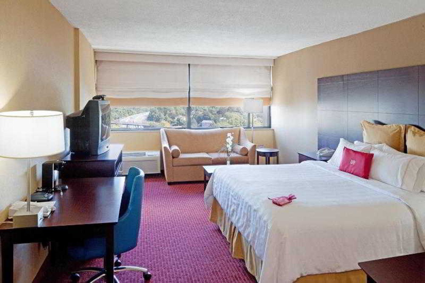 Crowne-Plaza-Boston-Newton-Hotel-Room-35