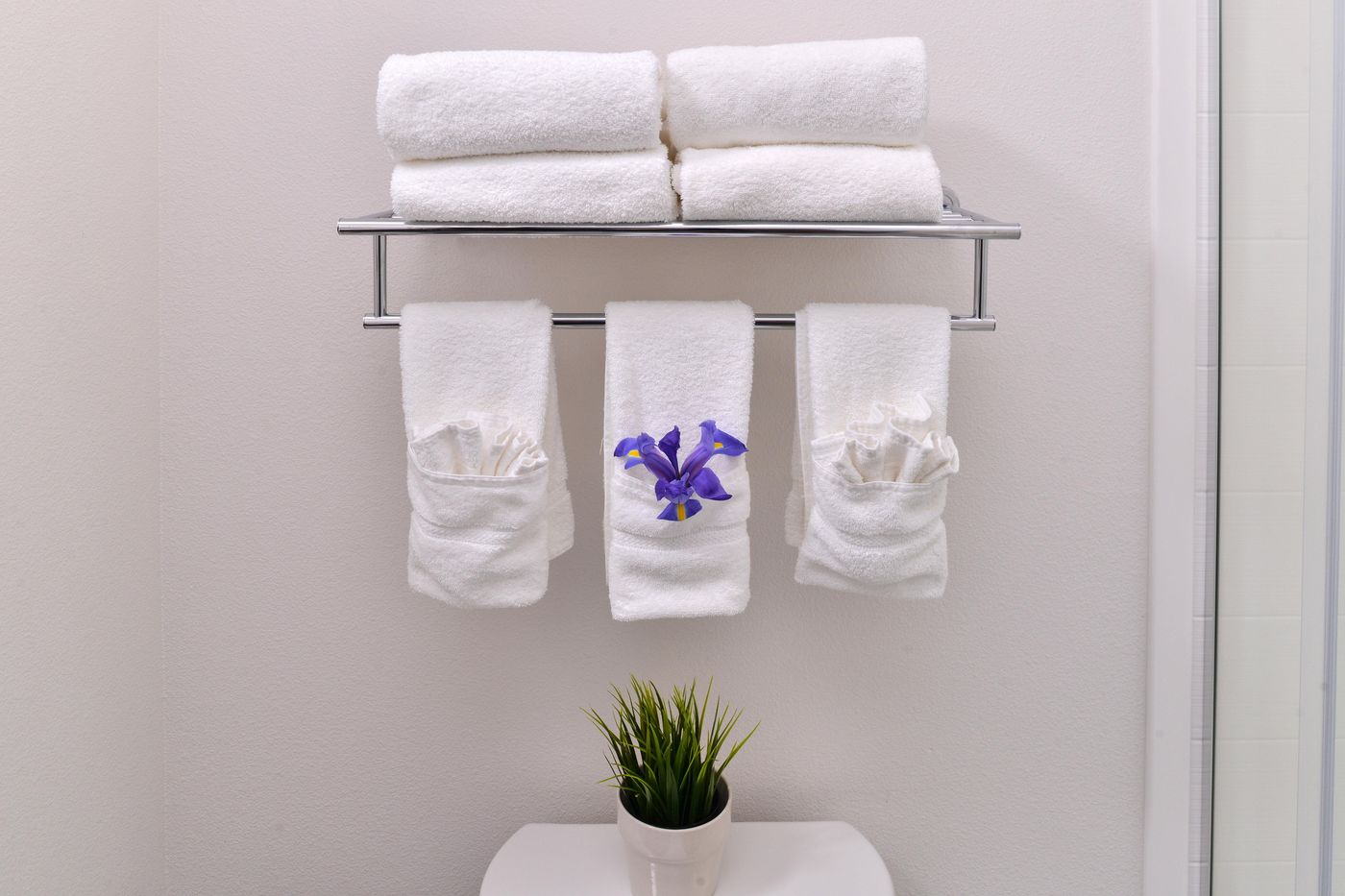 Holiday Inn Express San Diego - Mission Valley - United States - San Diego - Room - 4