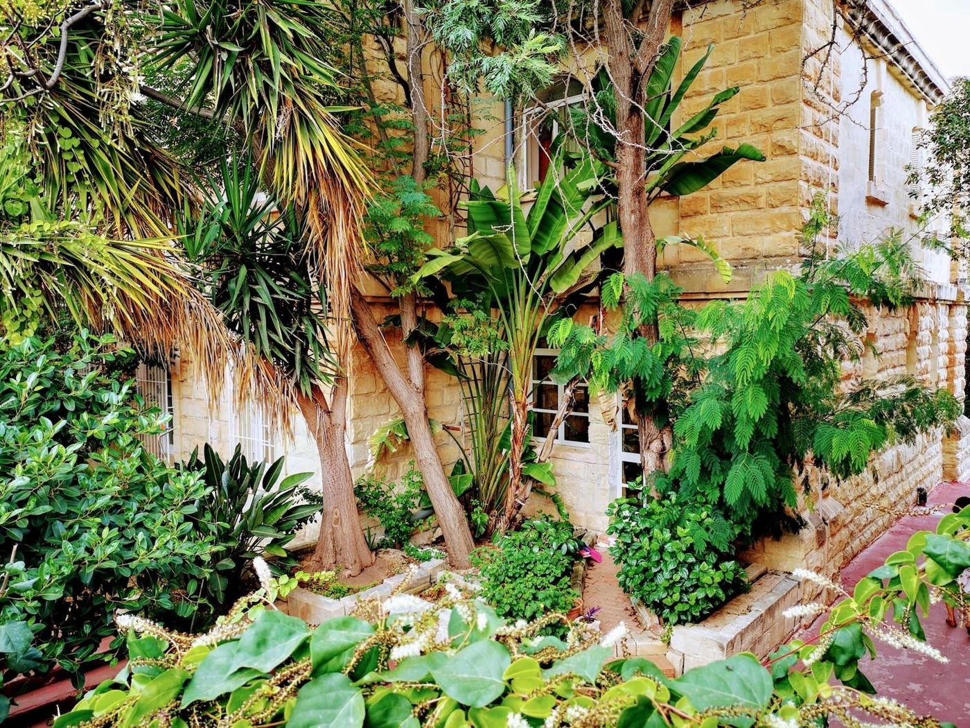 Sprachcaffe-International-Aparthotel-Pembroke-General-view-22