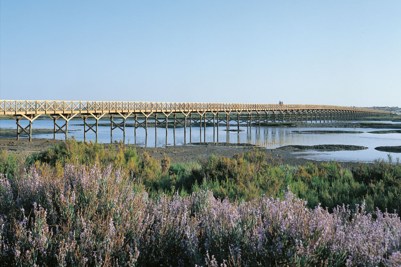 Encosta-do-Lago-Resort-Beach-63