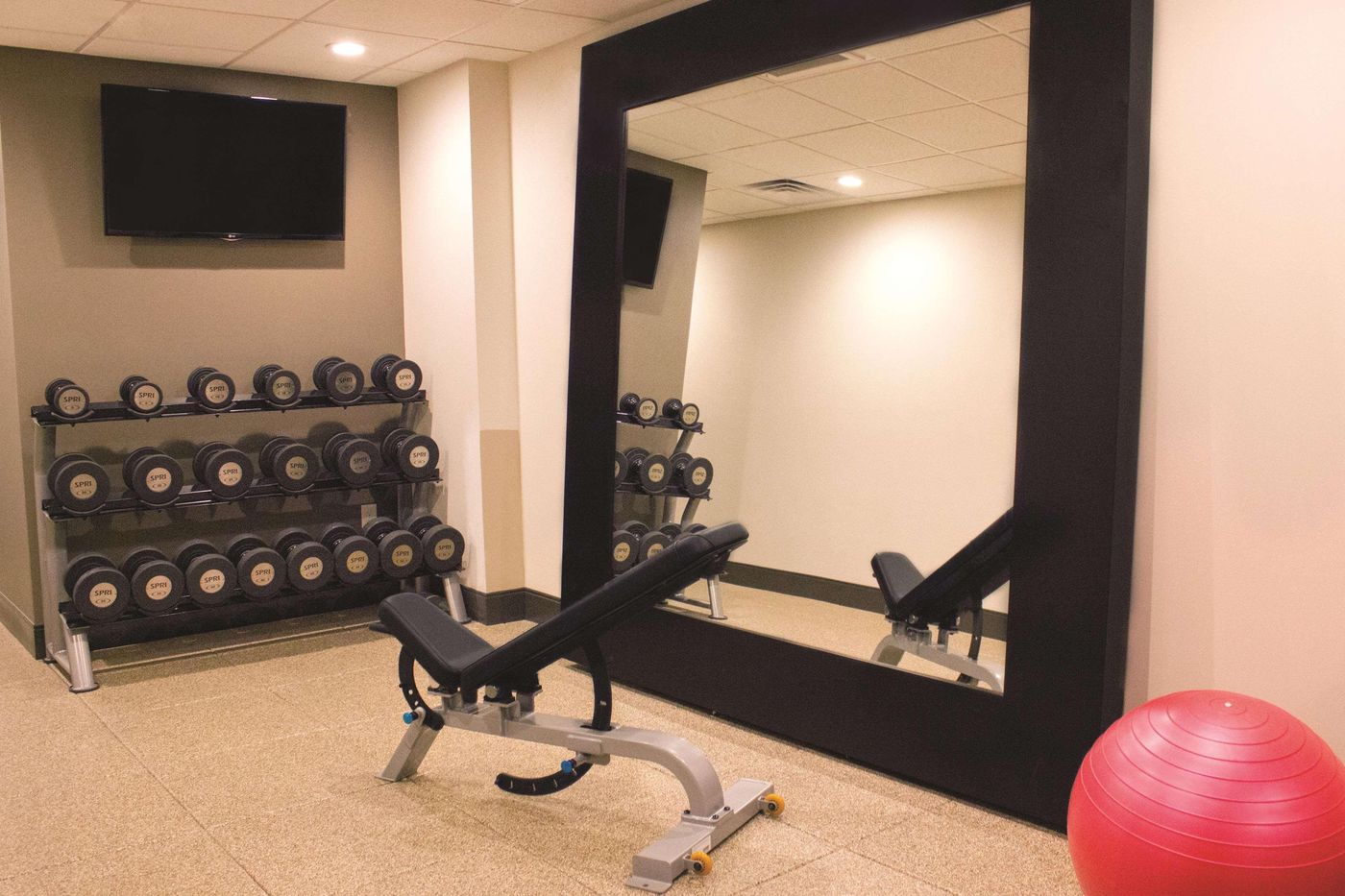 Doubletree-by-Hilton-Boston-Downtown-Sports-and-Entertainment-33