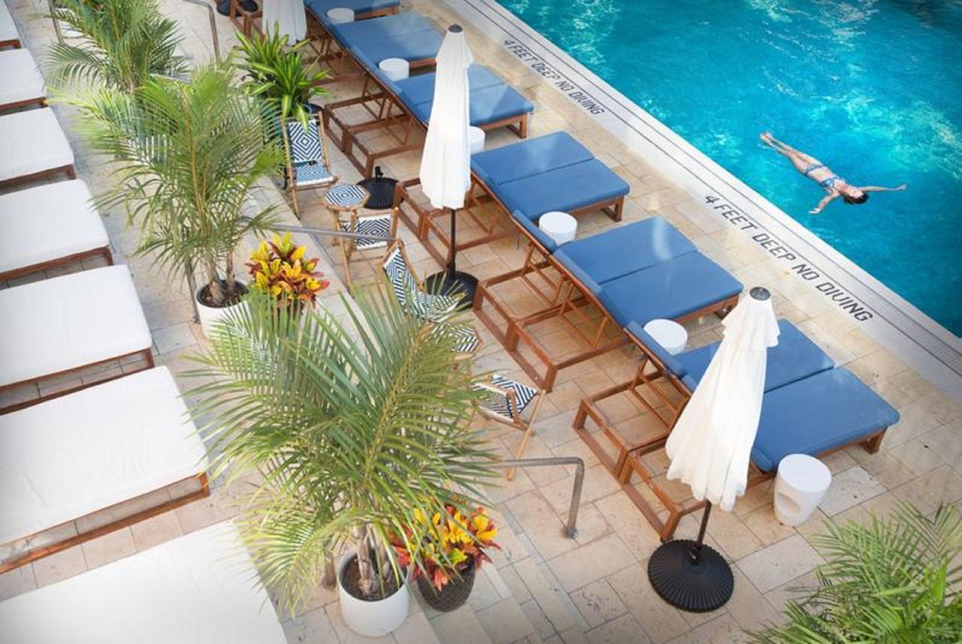 CODA-Williamsburg-Pool-32