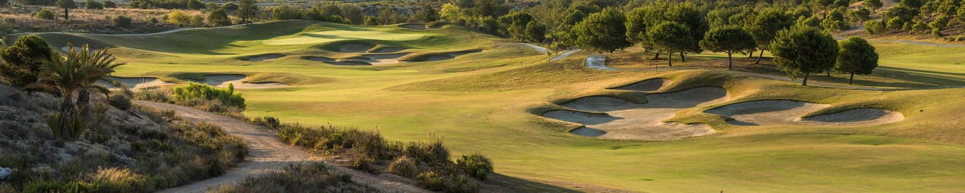 The-Level-At-Melia-Villaitana-General-view-108