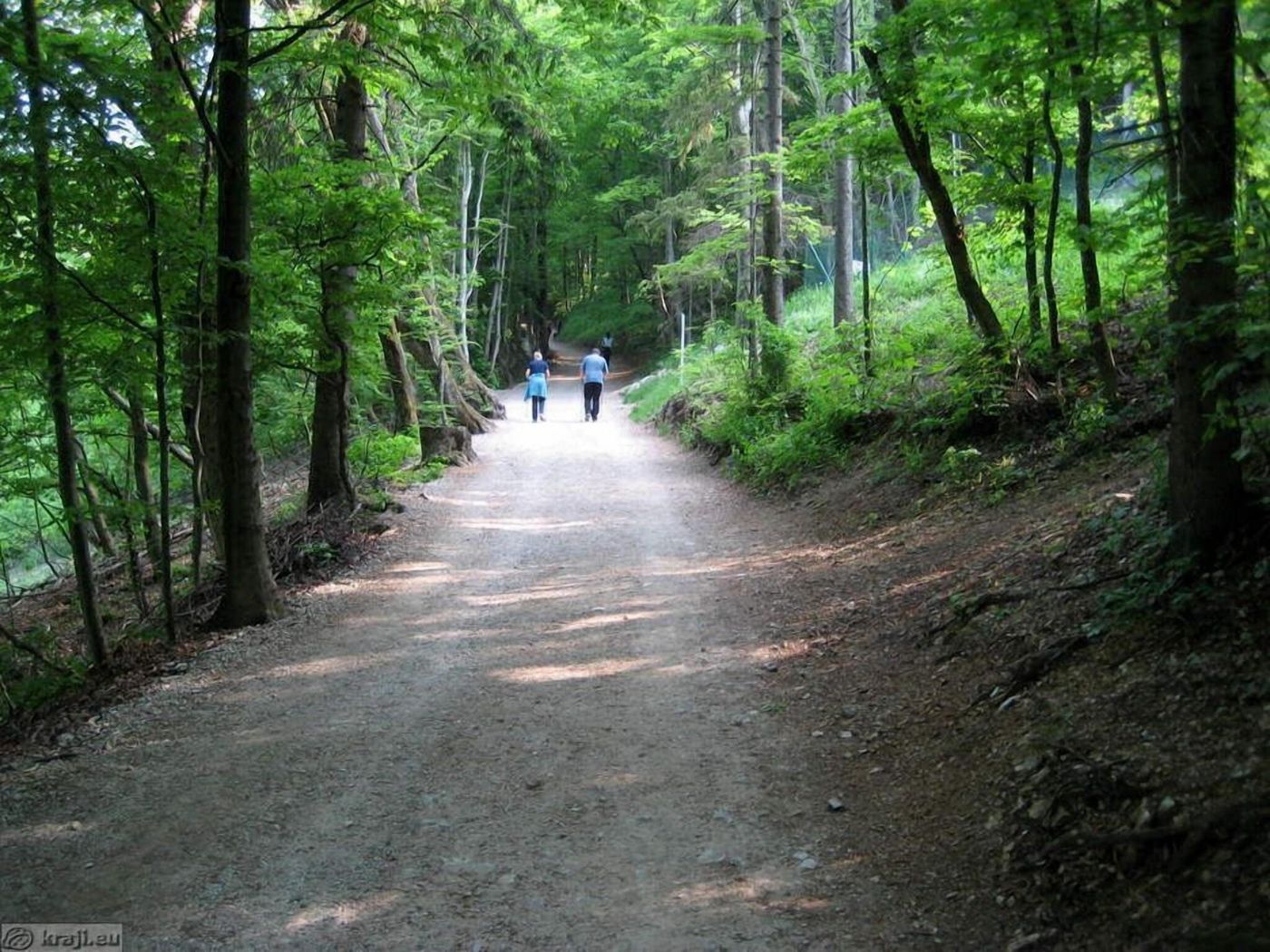 B&B Dvor Tacen-Slovenia-Ljubljana-General view-3
