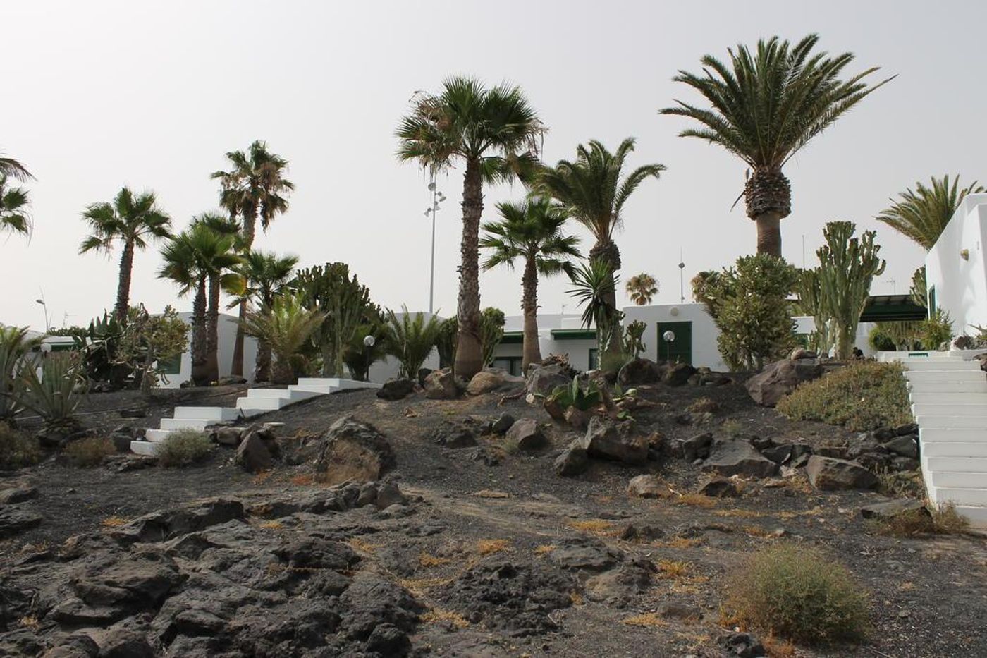 Velazquez-General-view-7