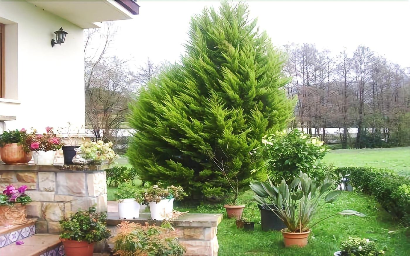 Agroturismo Ibarrondo Etxea-Spain-MUNGIA-General view-4