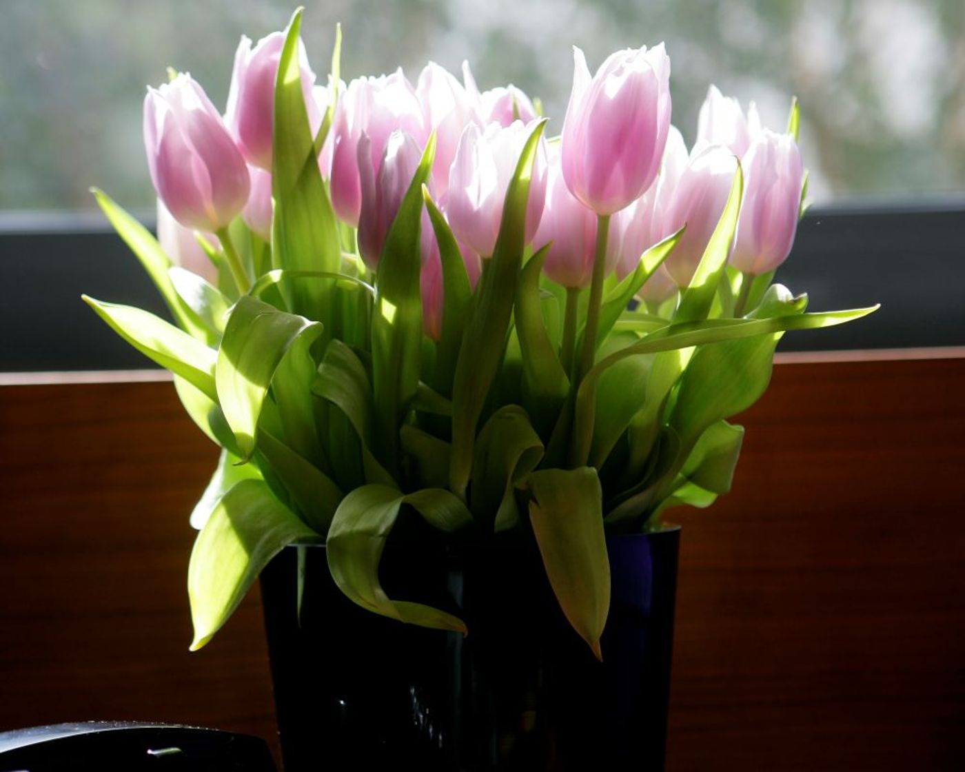 Fitzwilliam-Hotel-Room-6