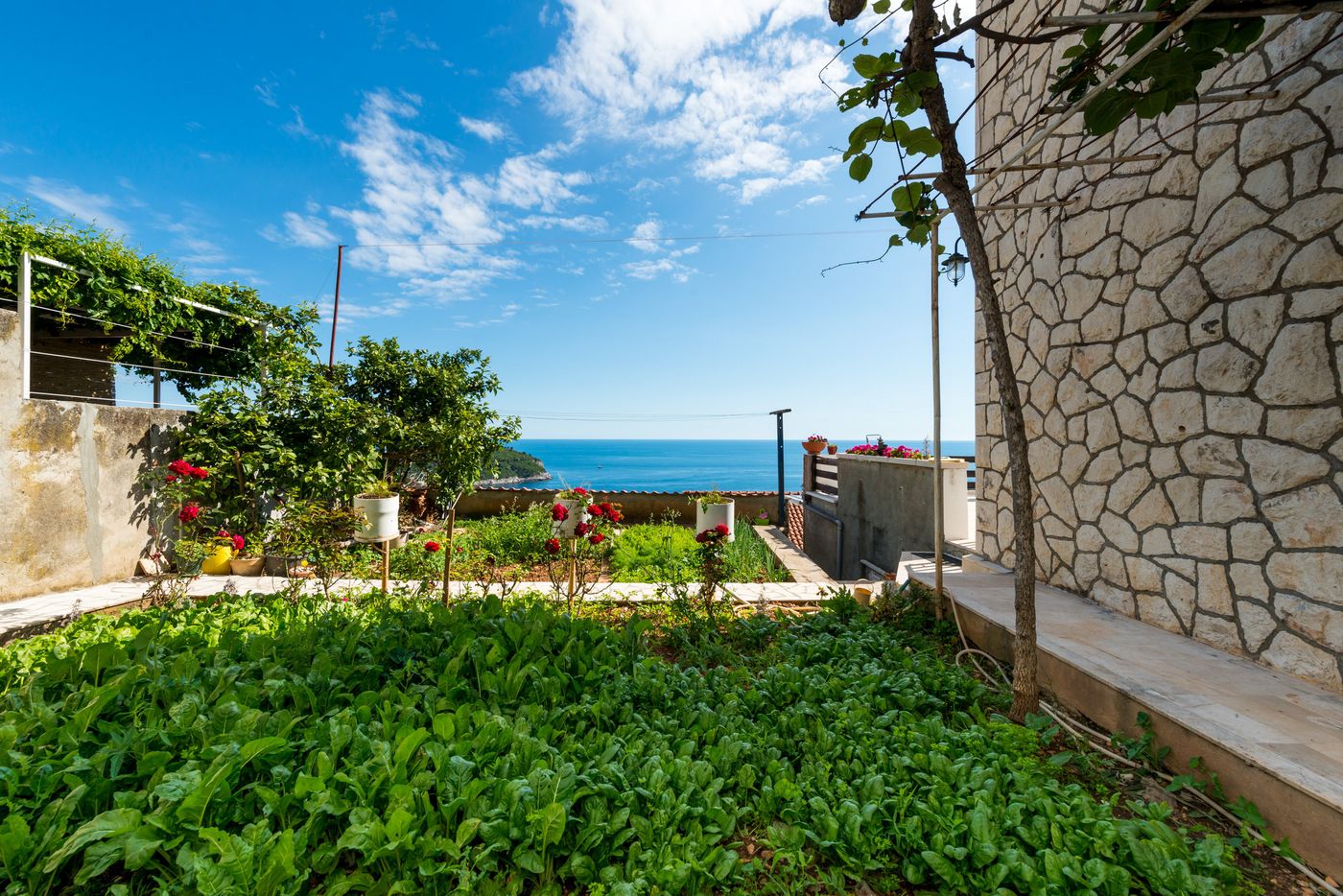 Guesthouse-Home-Sweet-Home-Room-1