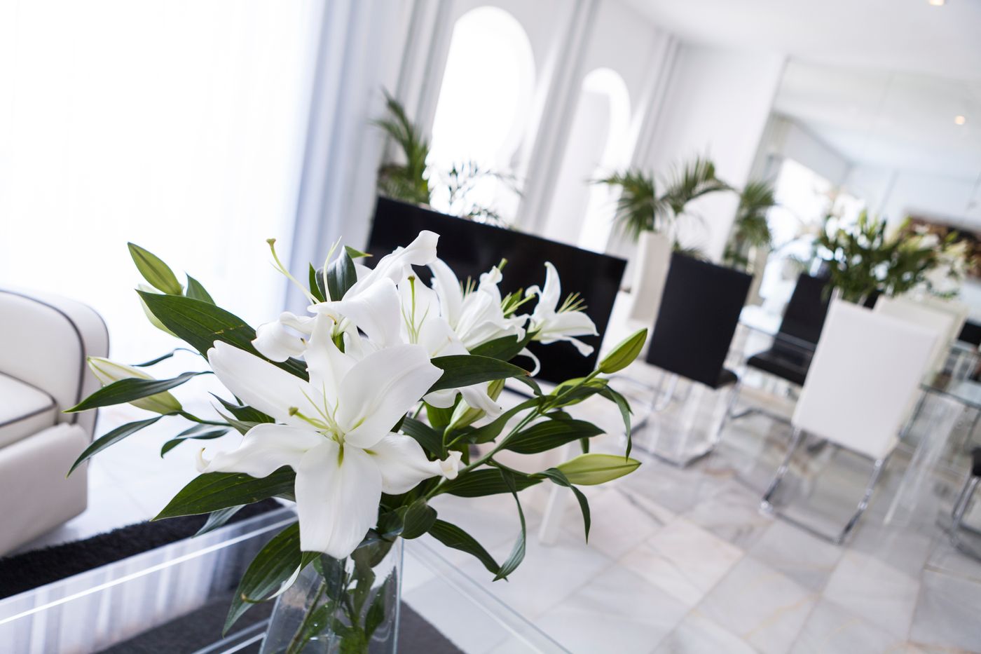 Albayzin-del-Mar-Room-57