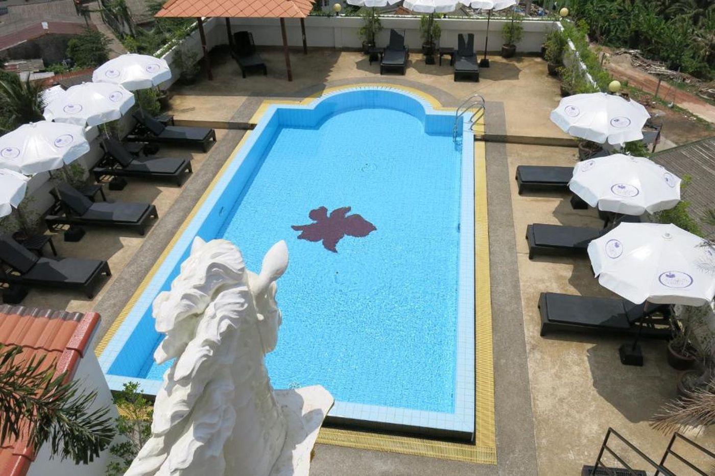 Orchid-Kathu-Heights-Pool-3