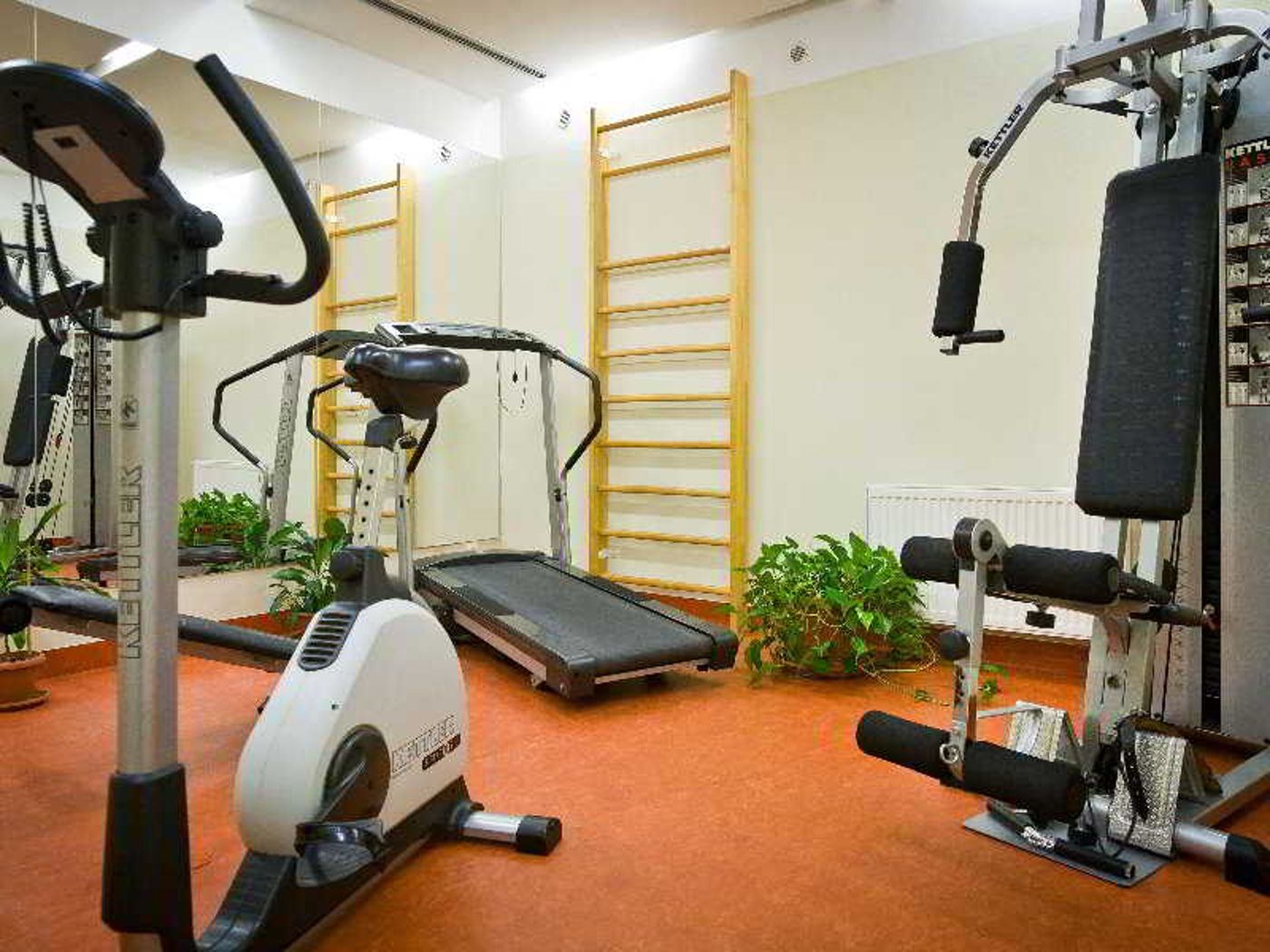 Mamaison-Residence-Belgicka-Prague-Sports-and-Entertainment-24