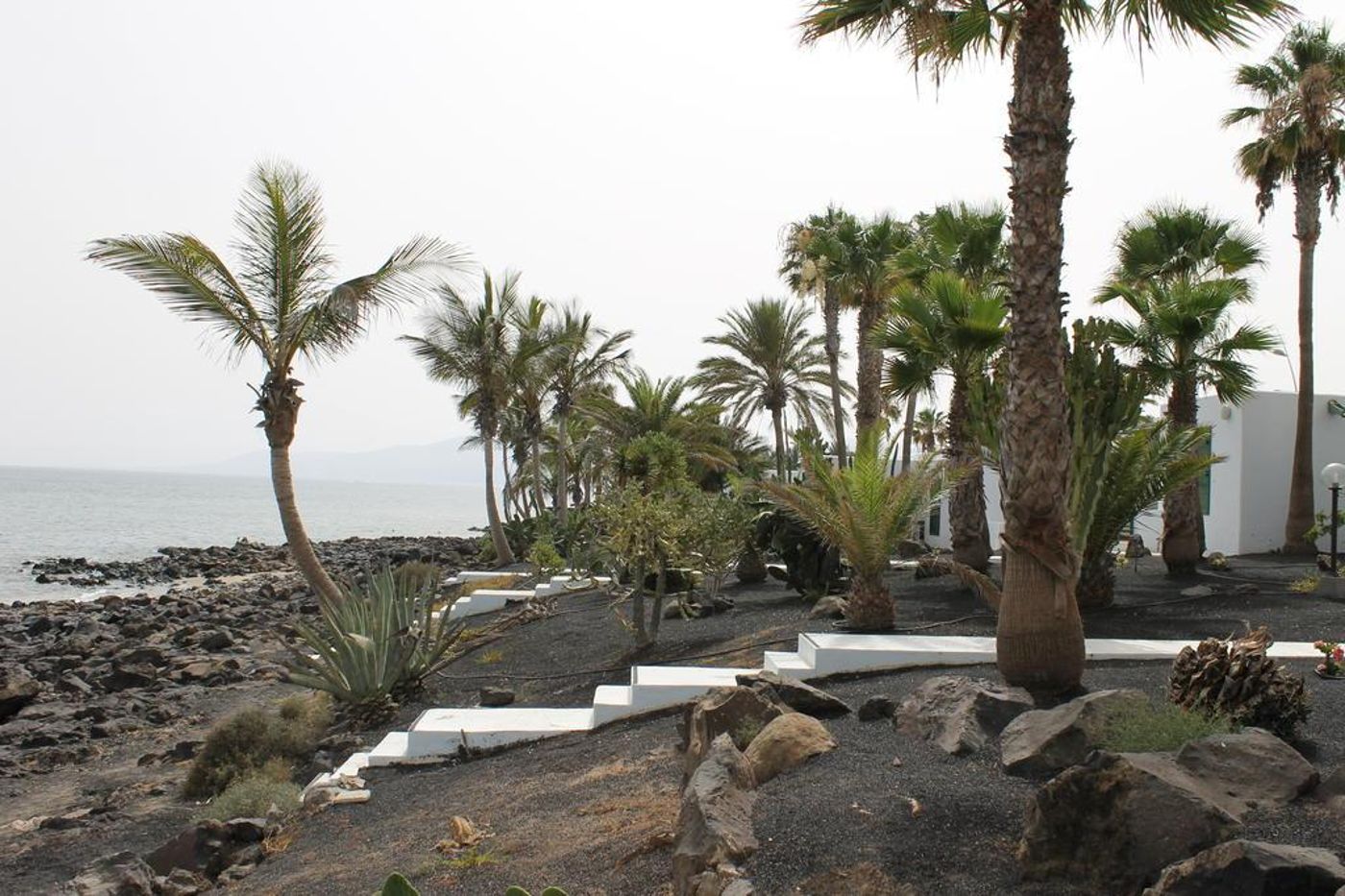 Velazquez-General-view-21