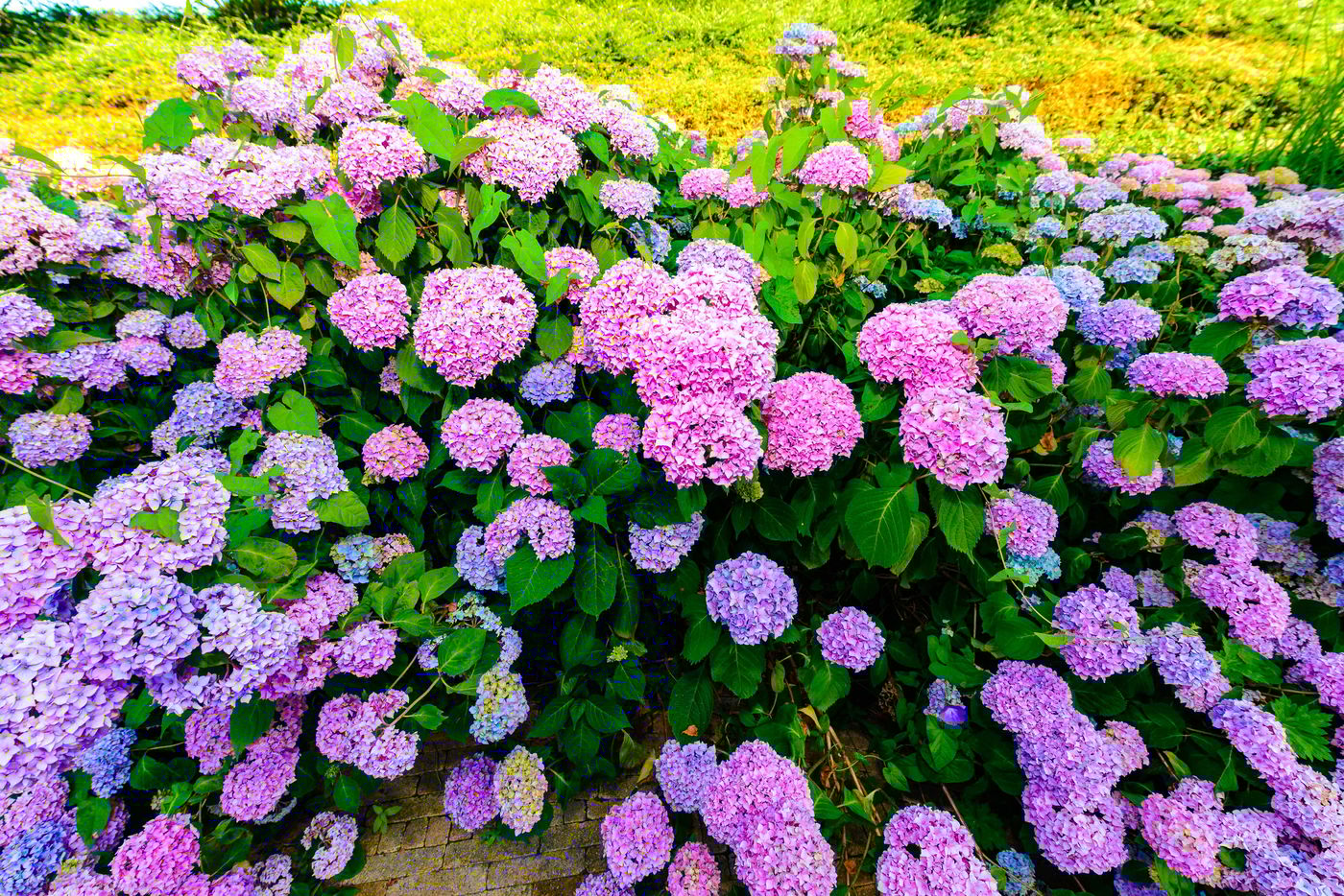 Grand-Hotel-Amstelveen-Terrace-49