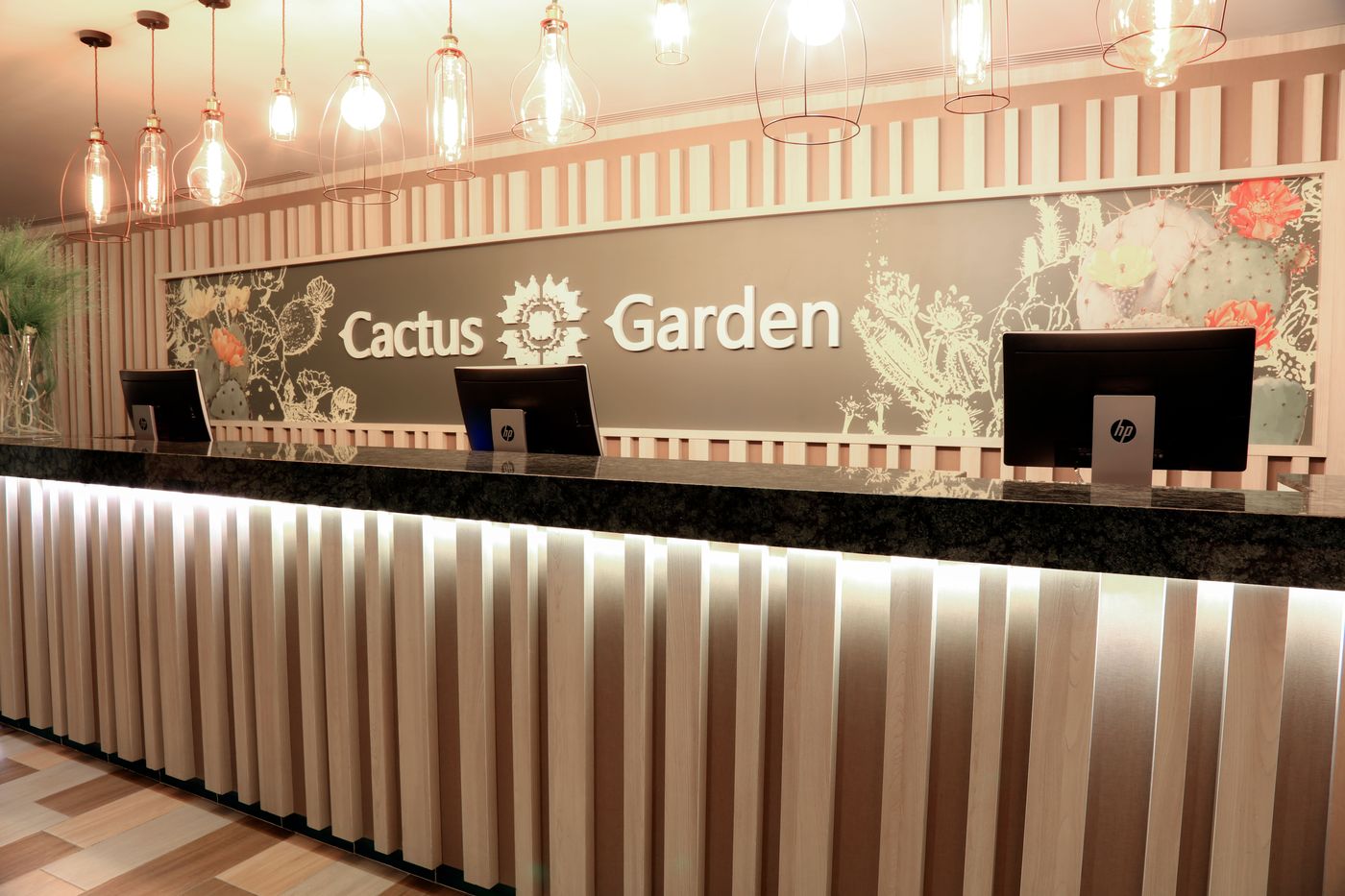 Lemon & Soul Cactus Garden