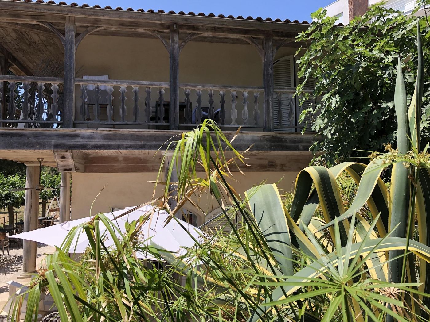 Le-Clos-Des-Sept-Palmiers-General-view-1