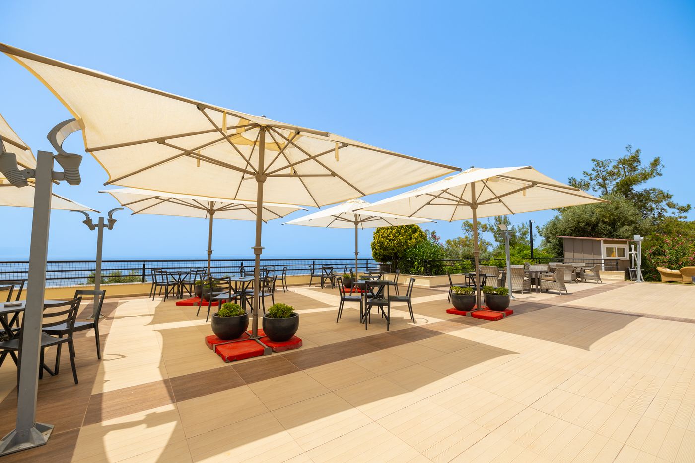 New - Sealight Family Club