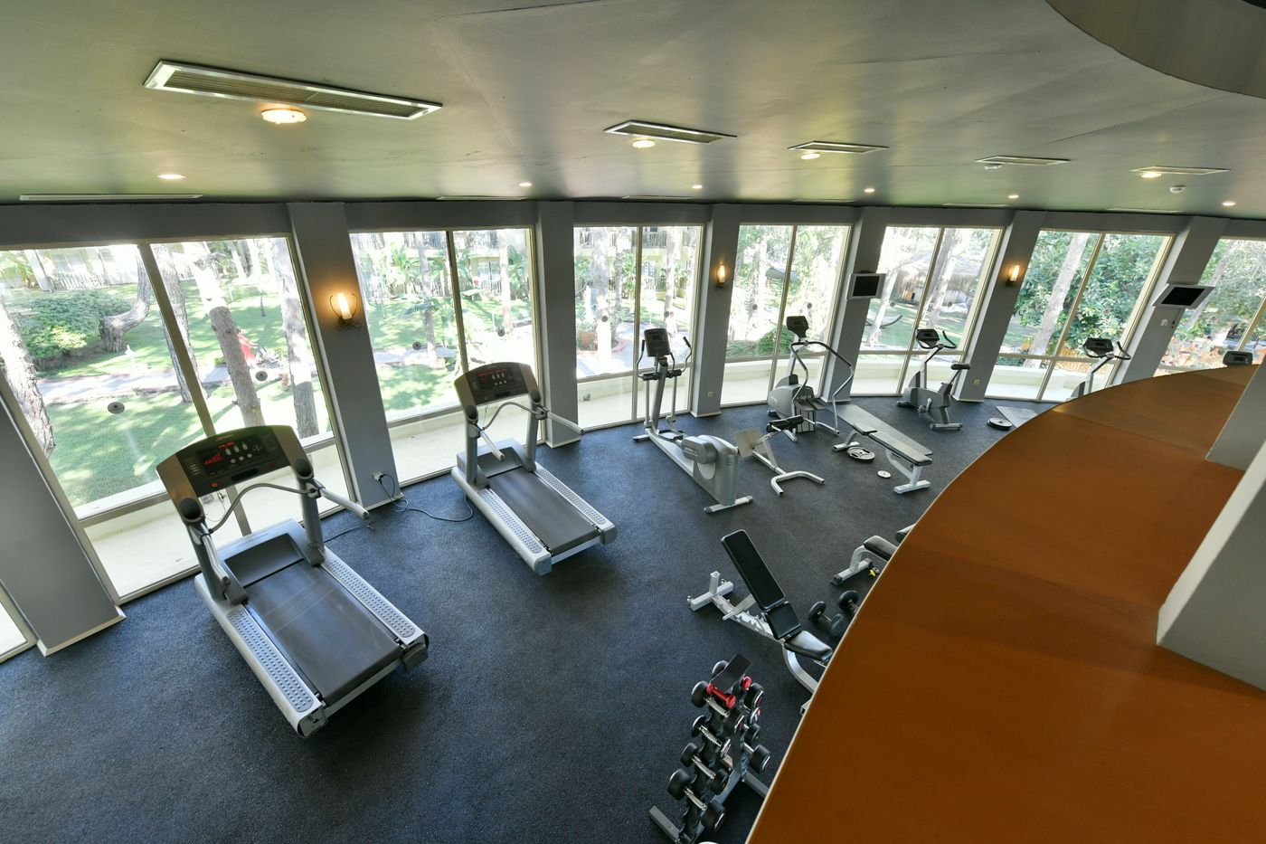 Gypsophila Club Marine