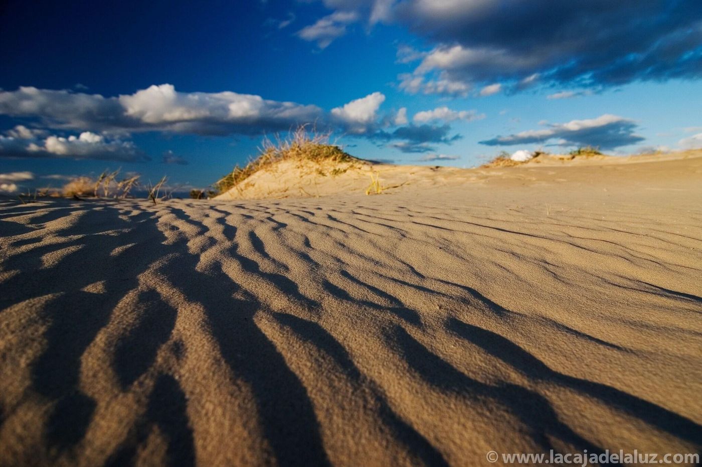 Hotel-Neptuno-General-view-35