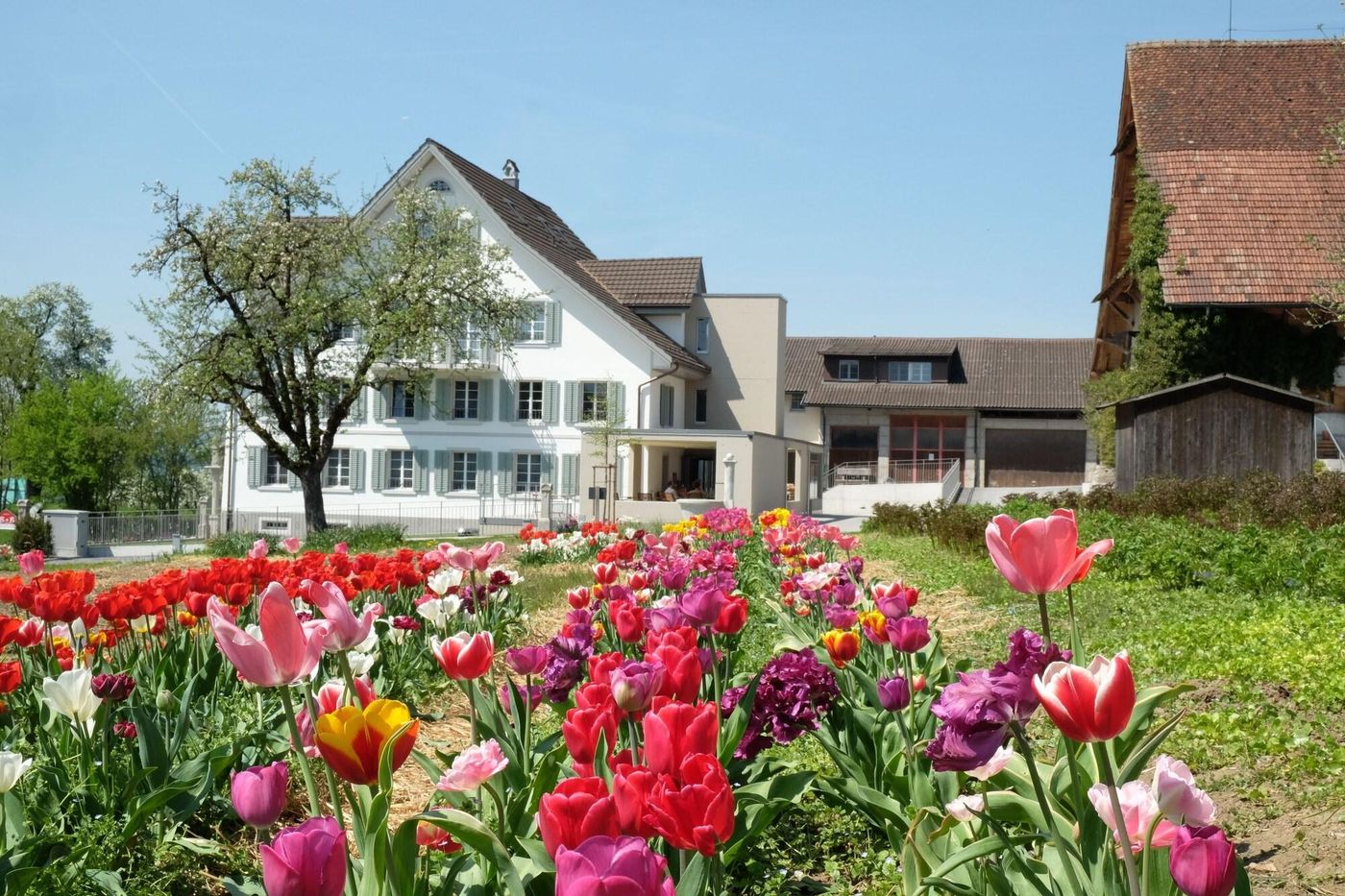Gasthaus Zum Bauernhof-Switzerland-OBERLUNKHOFEN-General view-1