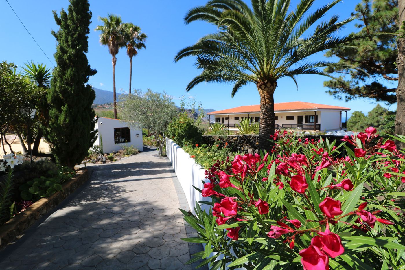 Apartamentos-Miranda-General-view-16