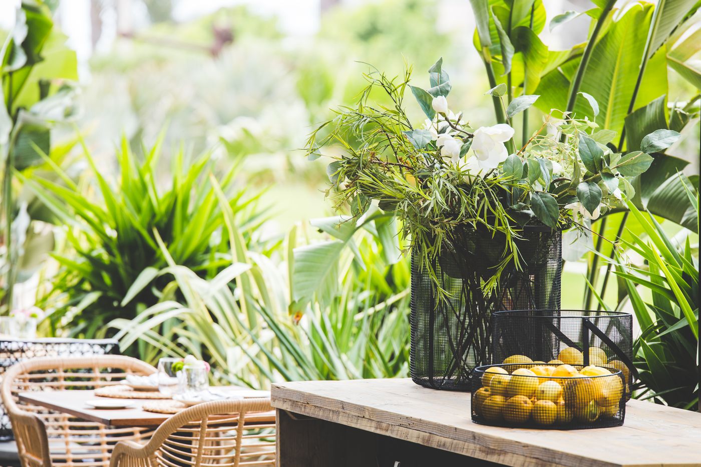 Almirante-Terrace-19