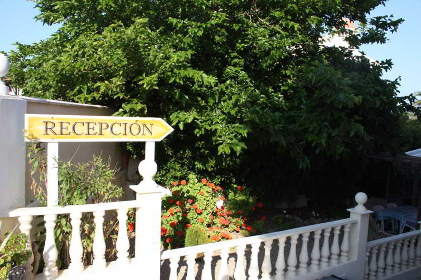 Cala-Bona---Mar-Blava-Pool-6