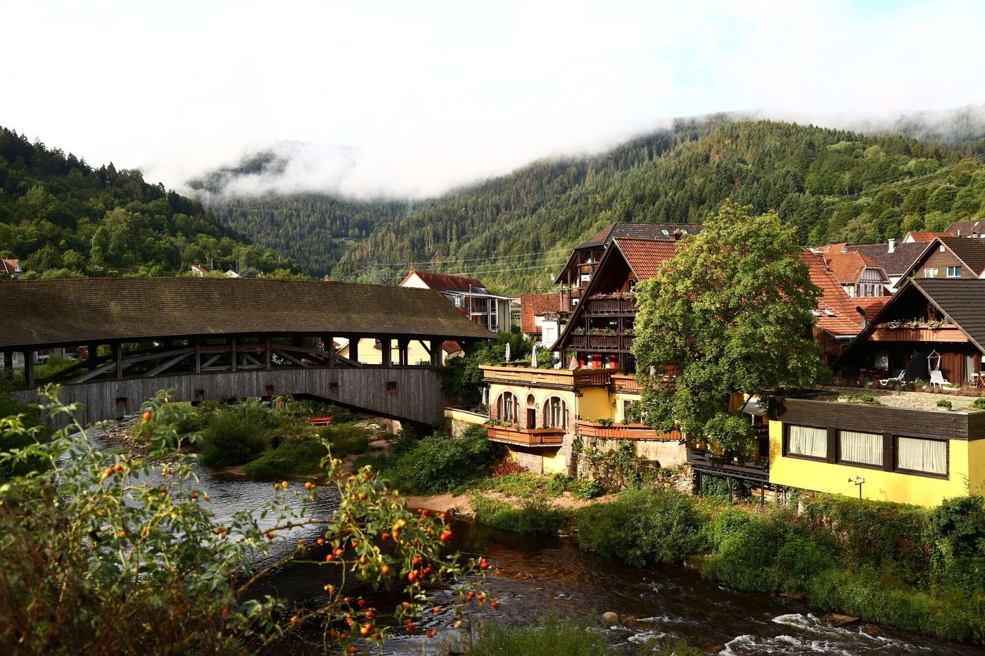 Das Waldhaus-Germany-FORBACH-General view-7