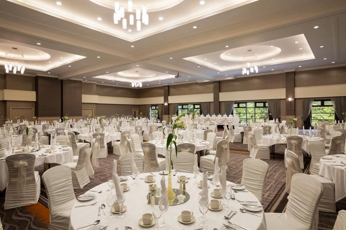 Crowne Plaza Belfast - United Kingdom - Shaws Bridge - Conferences - 8