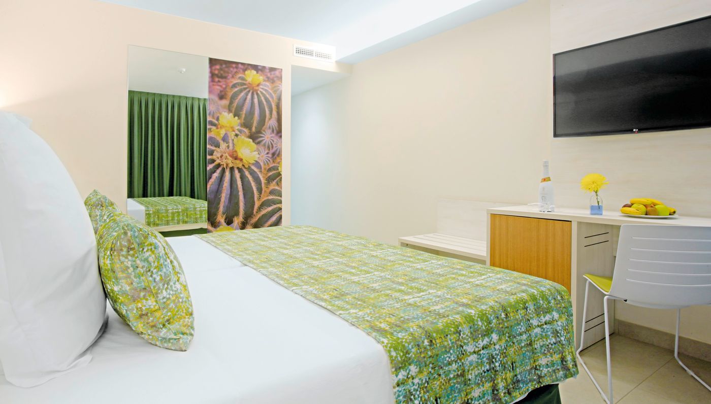 Lemon & Soul Cactus Garden