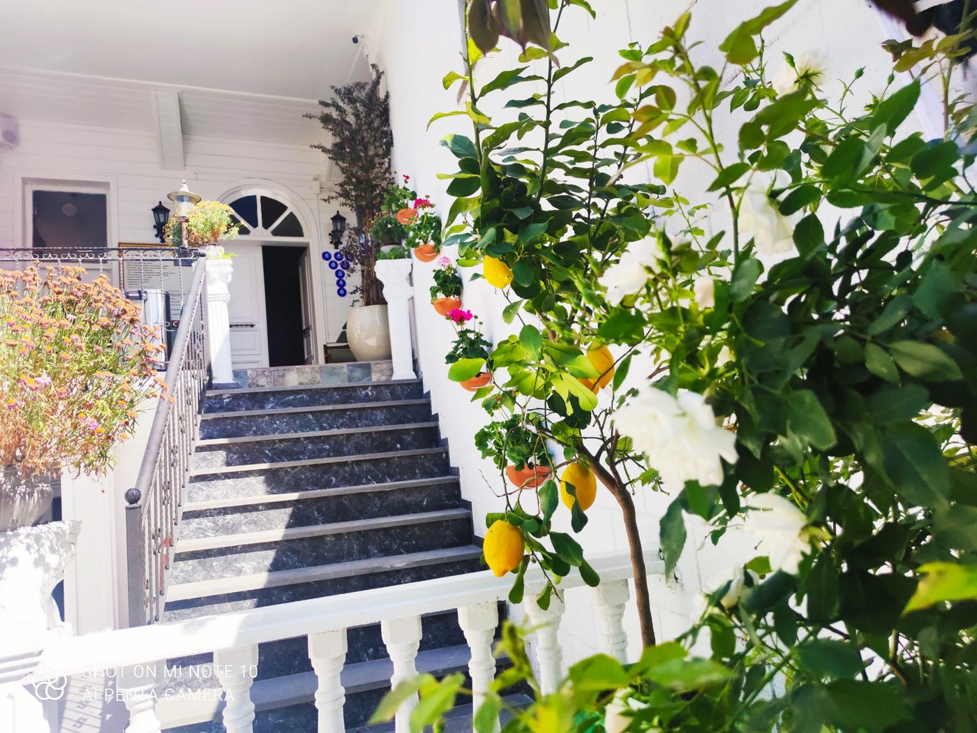 Solomon's Mansion Hotel-Turkey-Istanbul-Terrace-3