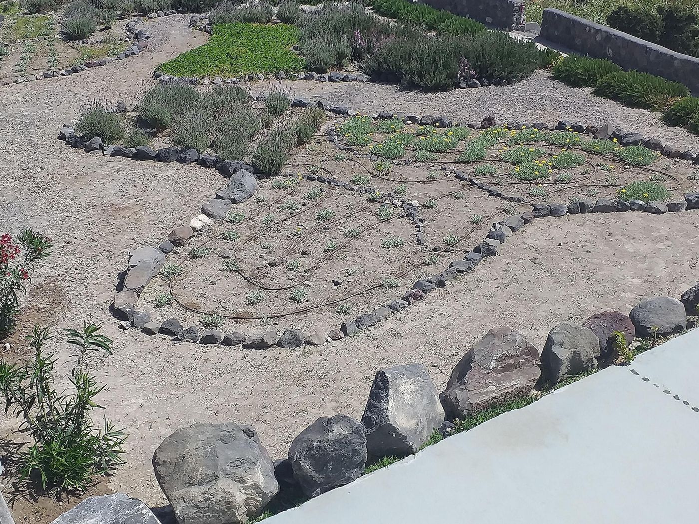 Danae-Suites-Room-45