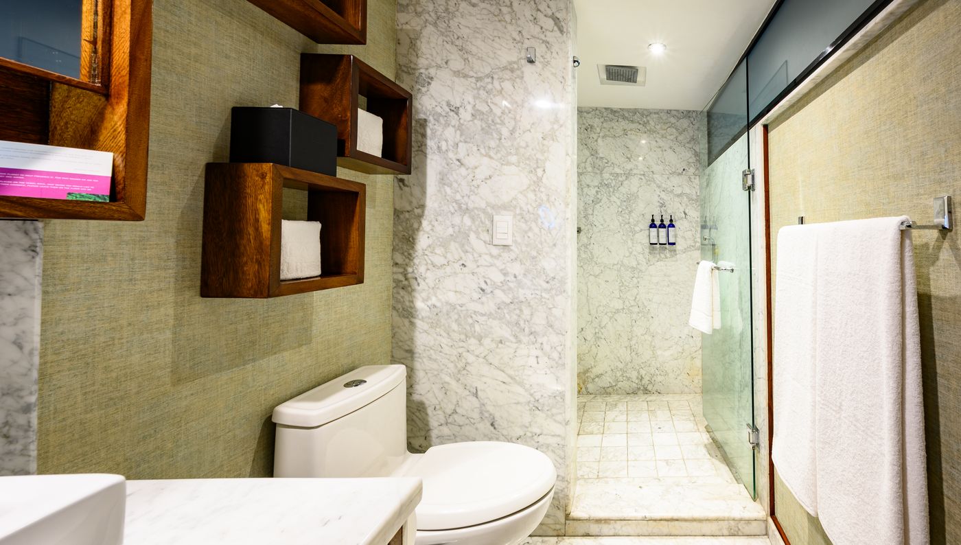 Las Suites Campos Elíseos-Mexico-CIUDAD DE MEXICO-Room-9