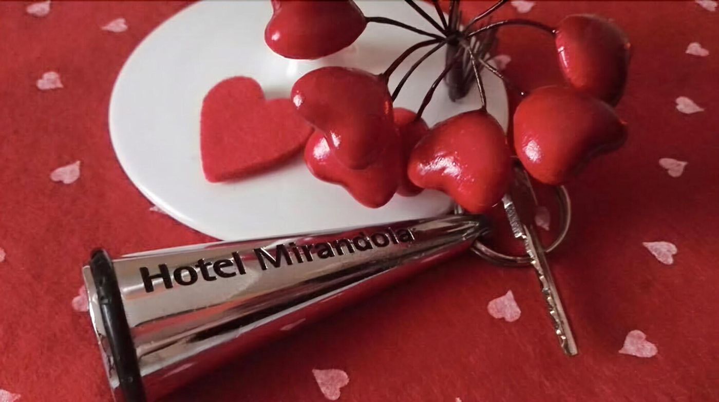 Hotel Mirandola - Italy - MIRANDOLA - Conferences - 5