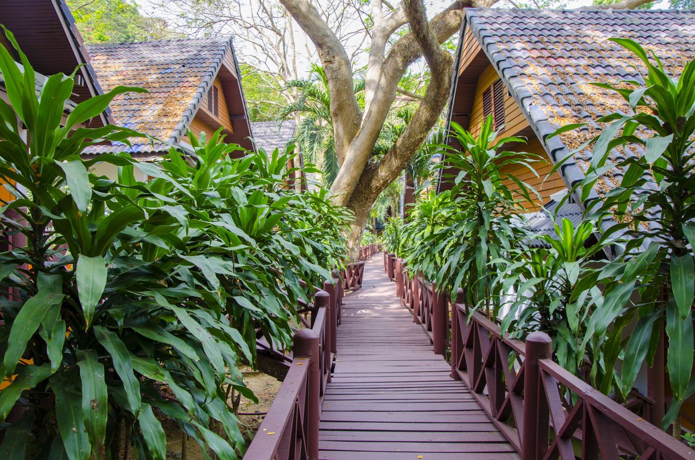 Coral-Island-Resort-General-view-18