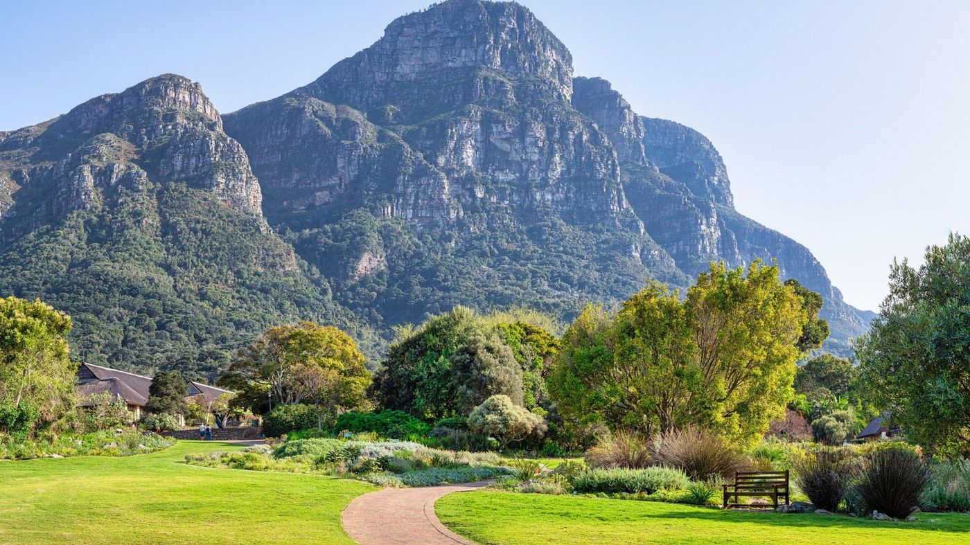 Holiday-Inn-Express-Cape-Town-City-Centre-General-view-64