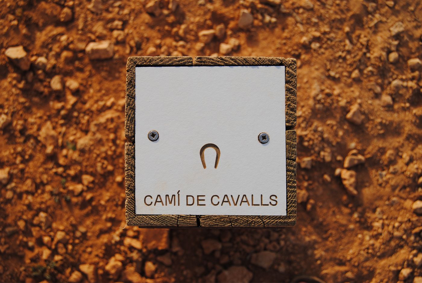 Aparthotel-Sol-Parc-Sports-and-Entertainment-45