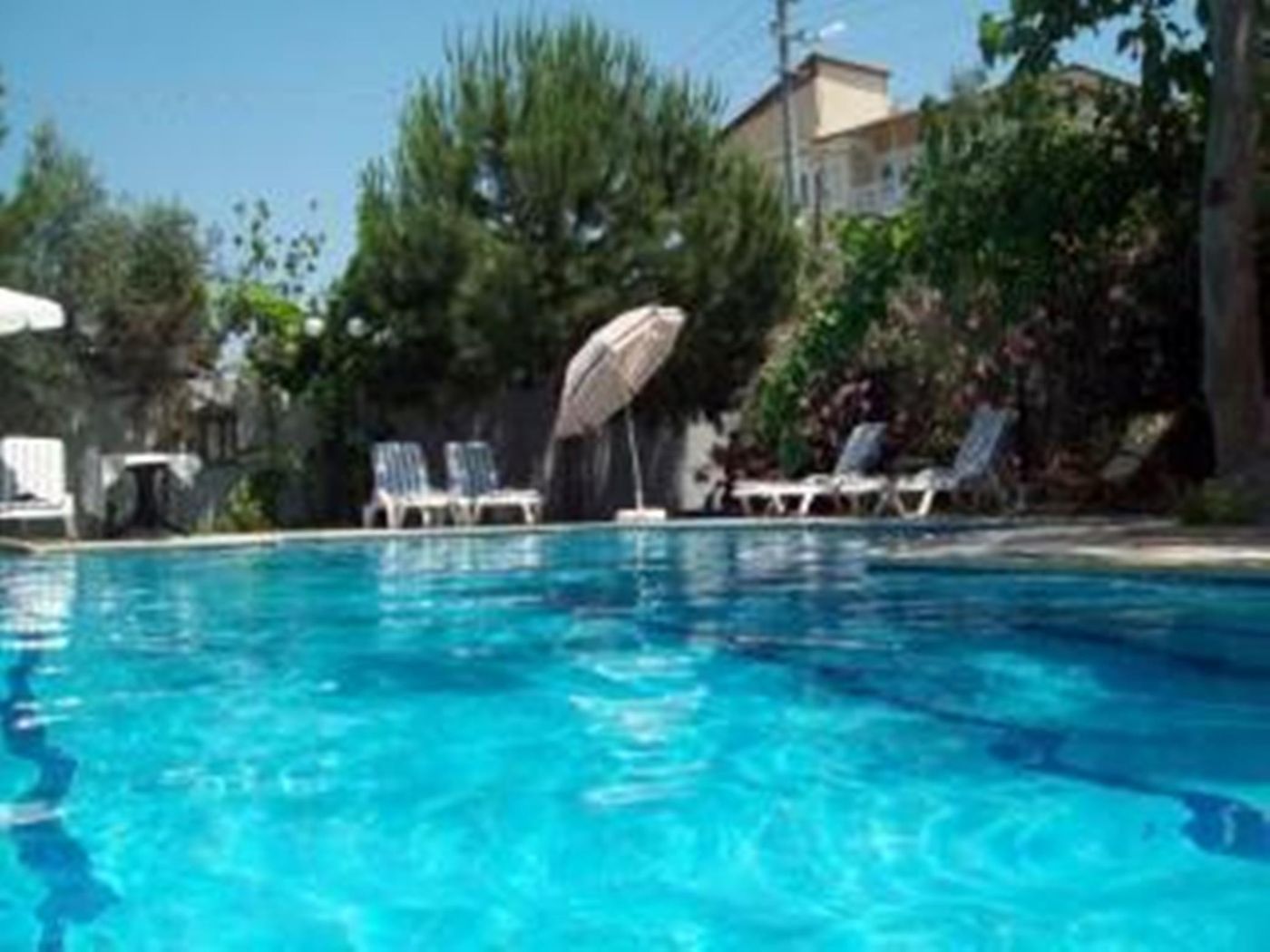 Vanilla-General-view-17