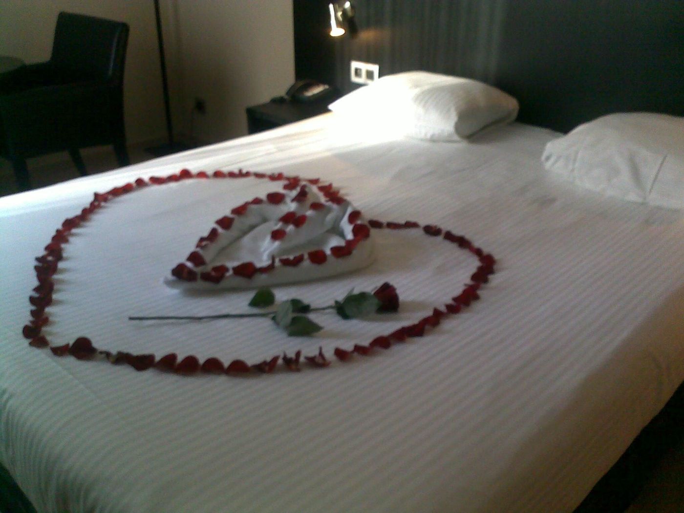 De Keyser Hotel-Belgium-ANTWERP-General view-2