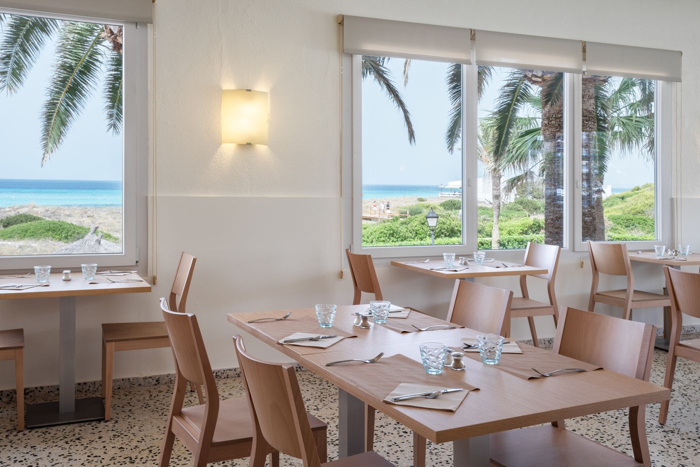 New - Sol Milanos-Pinguinos