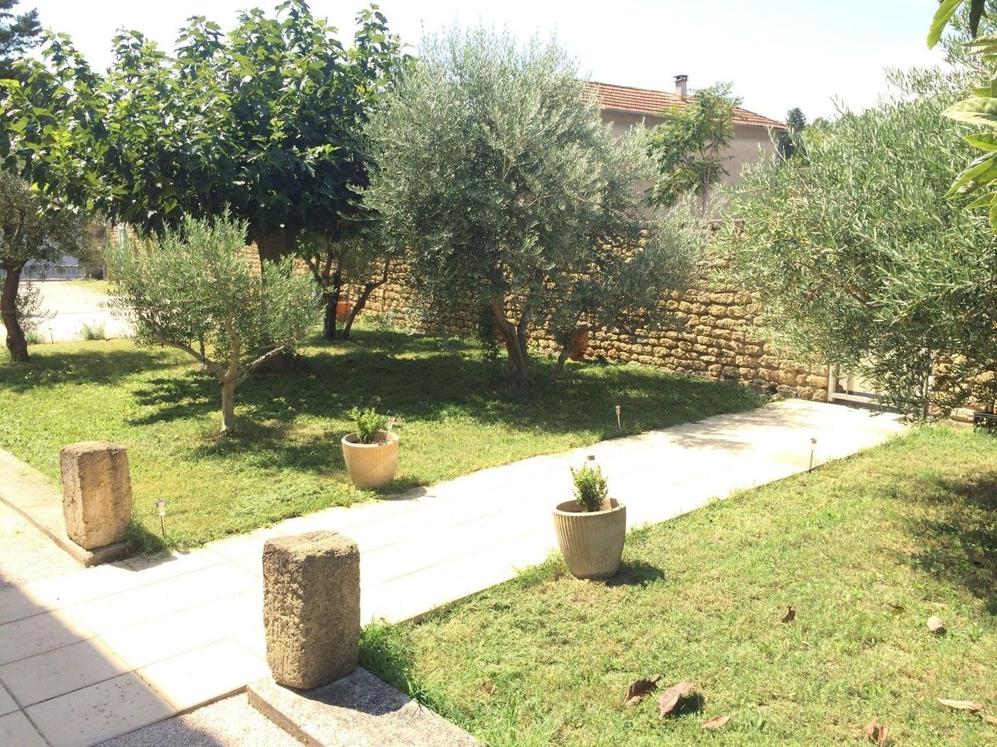 Salvaterra-France-SAUVETERRE-General view-5