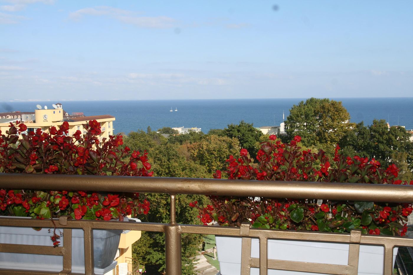 Joya-Park-Complex-Terrace-58